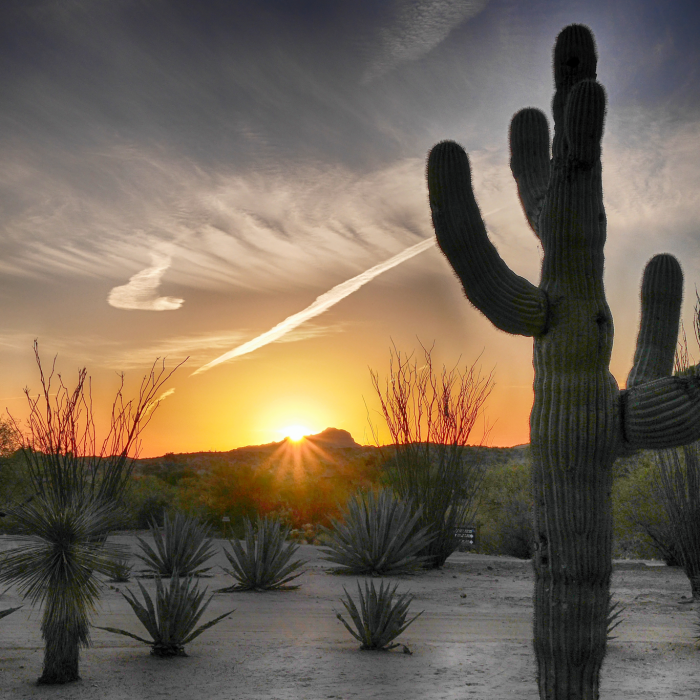 Arizona Sunrize by Paul Richards