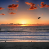 San Diego Beach 3