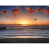 San Diego Beach iii by Paul Richards