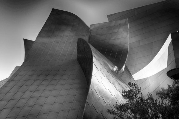 Photogravure Print Collections