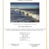 San Diego Beach II by Paul Richards - Certificate of Authenticity