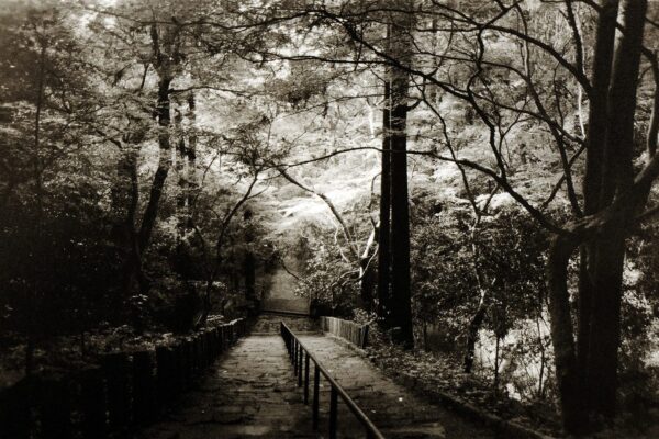 Black and white nature