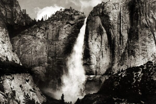 Photogravure Prints
