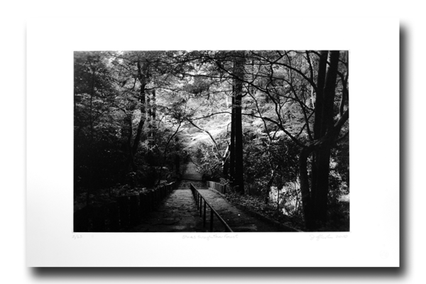 Stairs through the forest - Photogravure by Jon Lybrook