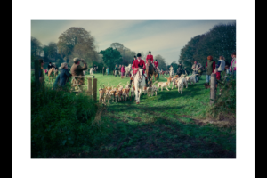 Broad Chalke Fox Hunt