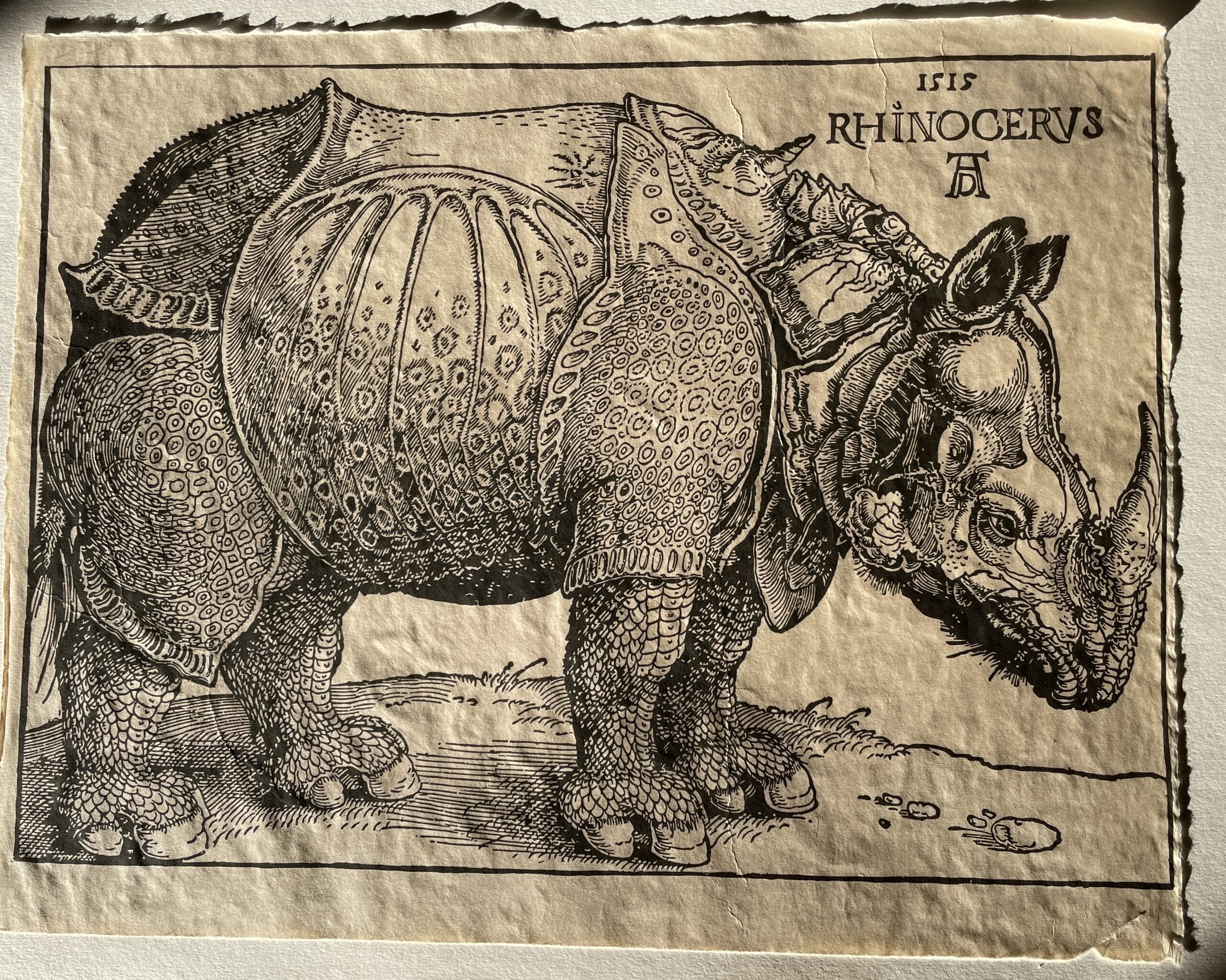 Durer's Rhino : Historic Handmade Reprints by Intaglio Editions - Image 5