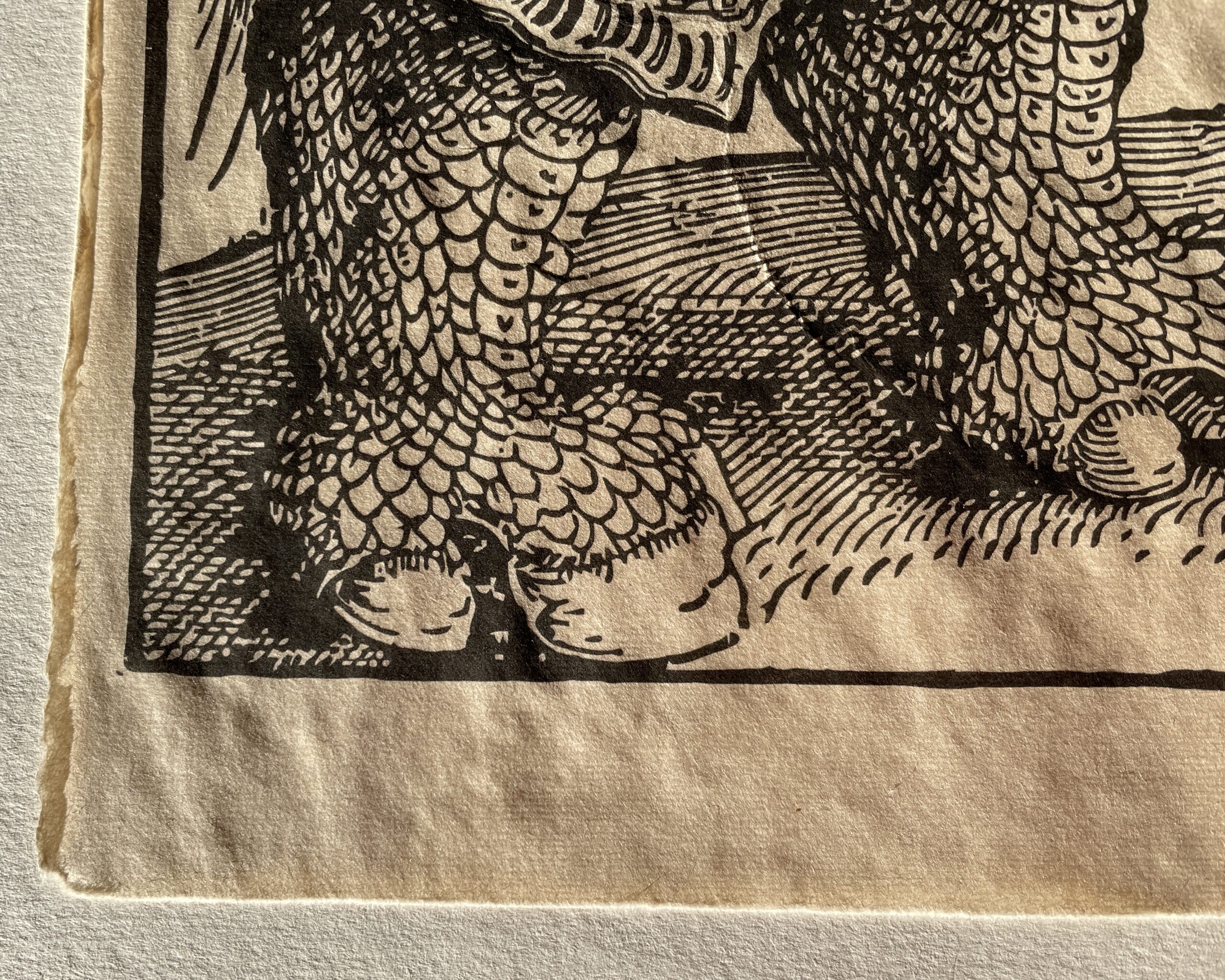 Durer's Rhino : Historic Handmade Reprints by Intaglio Editions - Image 6