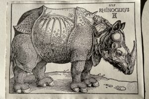 Durer's Rhino polymer photogravure print on German etching paper