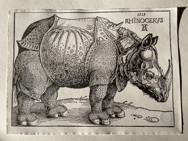 Durer's Rhino polymer photogravure print on German etching paper