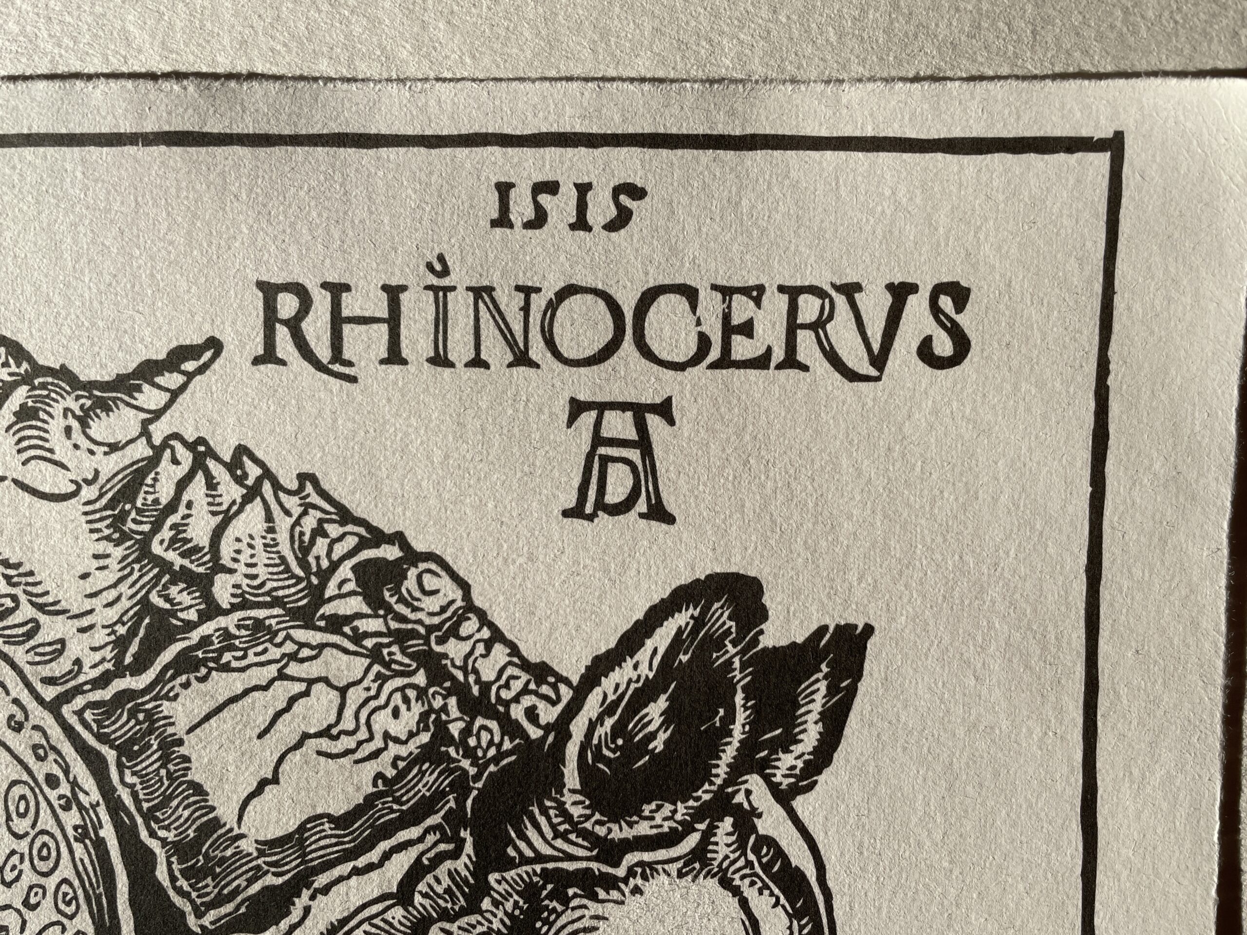 Durer's Rhino : Historic Handmade Reprints by Intaglio Editions - Image 3