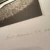 "Kate's Flower" - signed printer's proof by David Brookover (detail)