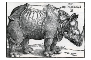 Rhinoceros by Albrecht Durer 1515