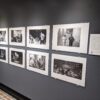 The Complete Tony Levin Signed Print Collection for Museums, Venues, and Non-Profits - Image 18