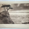 Ascension by David Brookover