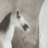 The Inseparable (detail) by David Brookover